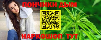 шишки Абакан