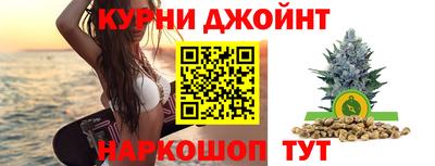 шишки Абакан