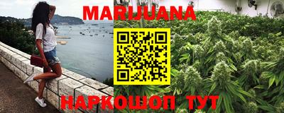 шишки Абакан