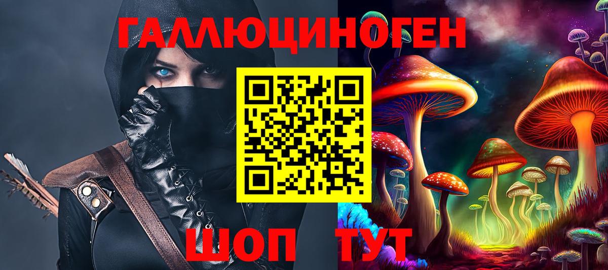 Псилоцибиновые грибы Psilocybine cubensis Амурск